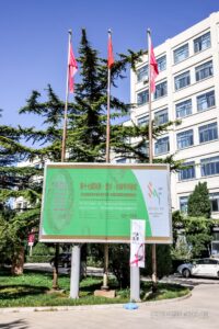 Beijimg Art Jewellery 2021