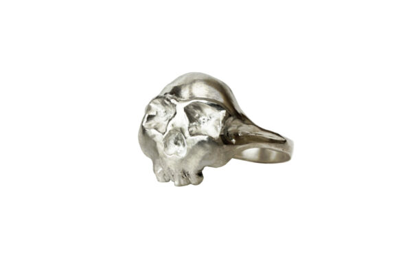 Unisex skull ring